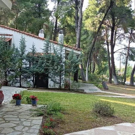 Anty * Sani (Chalkidiki)