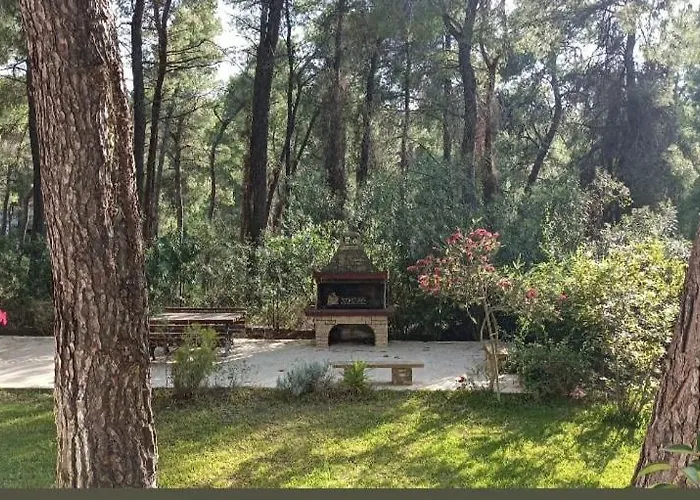 Anty Villa Sani (Chalkidiki)