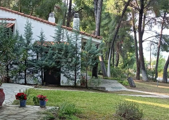 Anty * Sani (Chalkidiki)